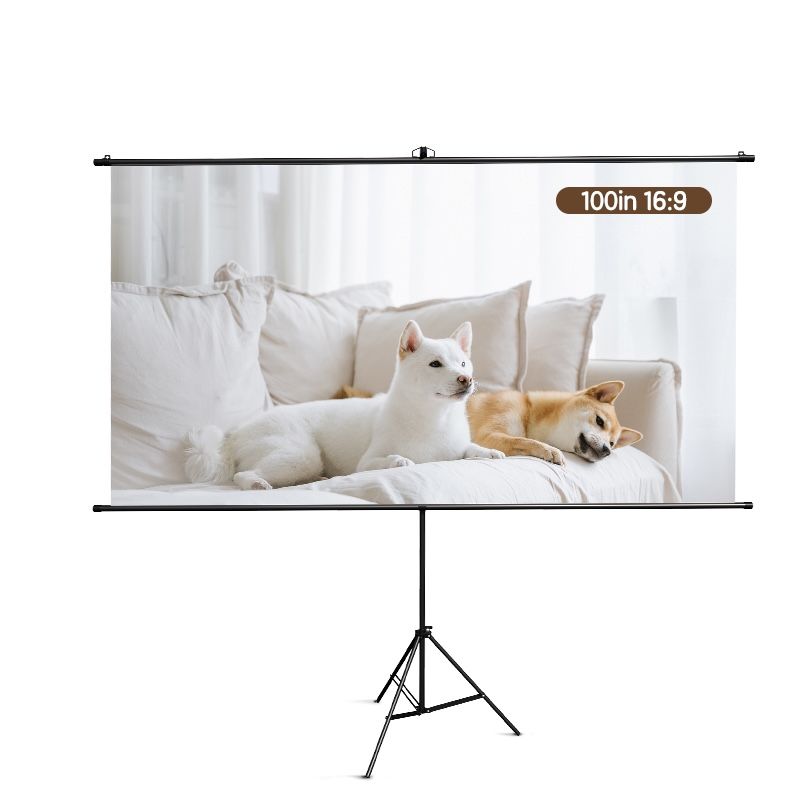 Projector Screen 100