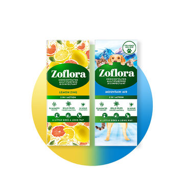 Zoflora Zingy Outdoor Pair