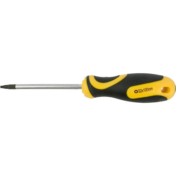 Screwdriver Square #2X100Mm