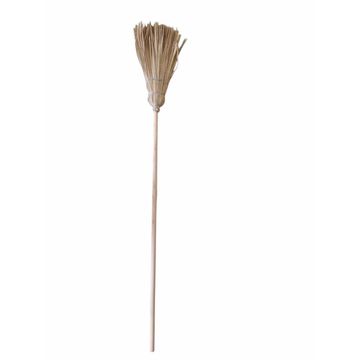 Atley Grass Broom