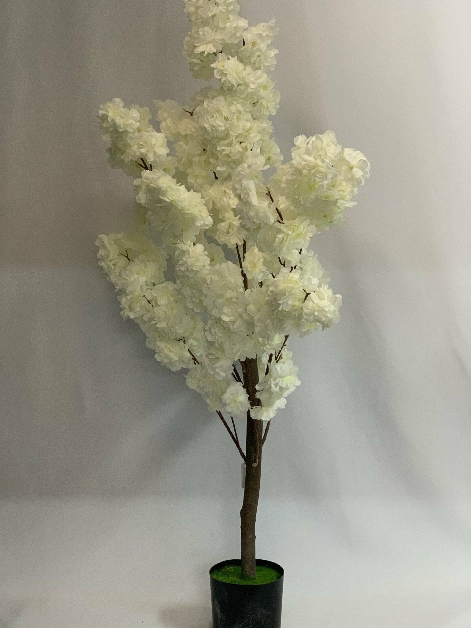 Cherry Blossom White 1.2M