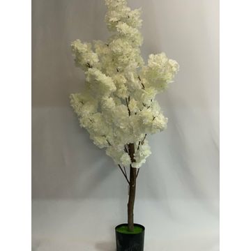 Cherry Blossom White 1.2M