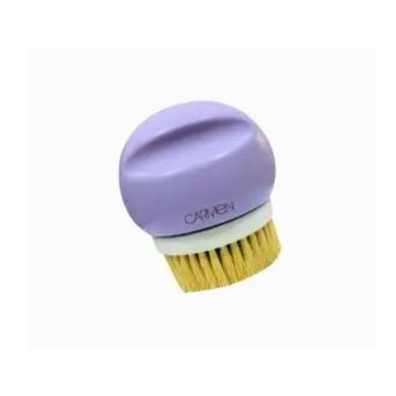 Carmen 4 in 1 Body Brush