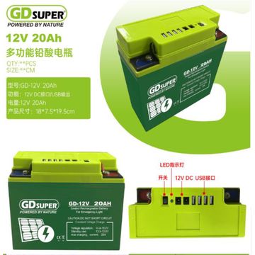 GD super 12V20AH battery