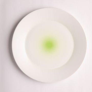 Designers Guild - Lime Dinner Plate Set of 4