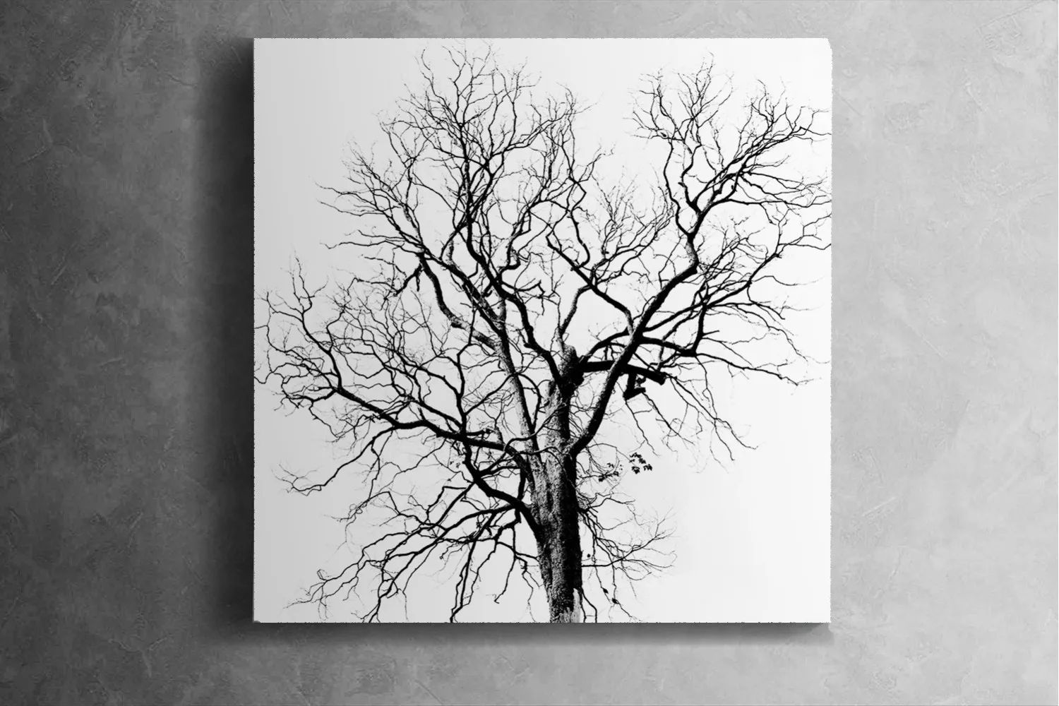 Barren Winds Canvas Art – Reflective Modern Wall Décor