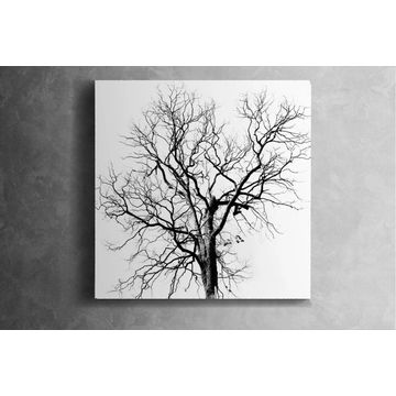 Barren Winds Canvas Art – Reflective Modern Wall Décor