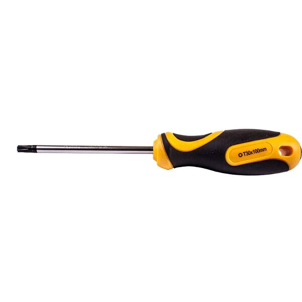 Screwdriver Torx Tamper Proof T30 6X100Mm