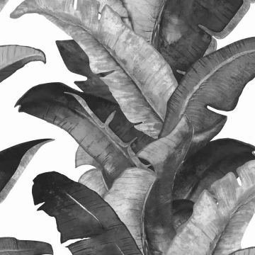 Wallpaper – Plantation – Grey