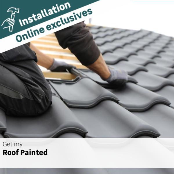 Installation Roof Painting per m2 LEROY MERLIN South Africa