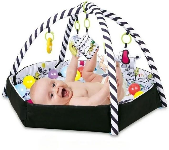 Baby 4 in 1 Activity Gym And Ball Pit For Babies