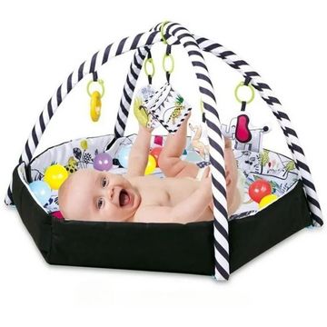 Baby 4 in 1 Activity Gym And Ball Pit For Babies