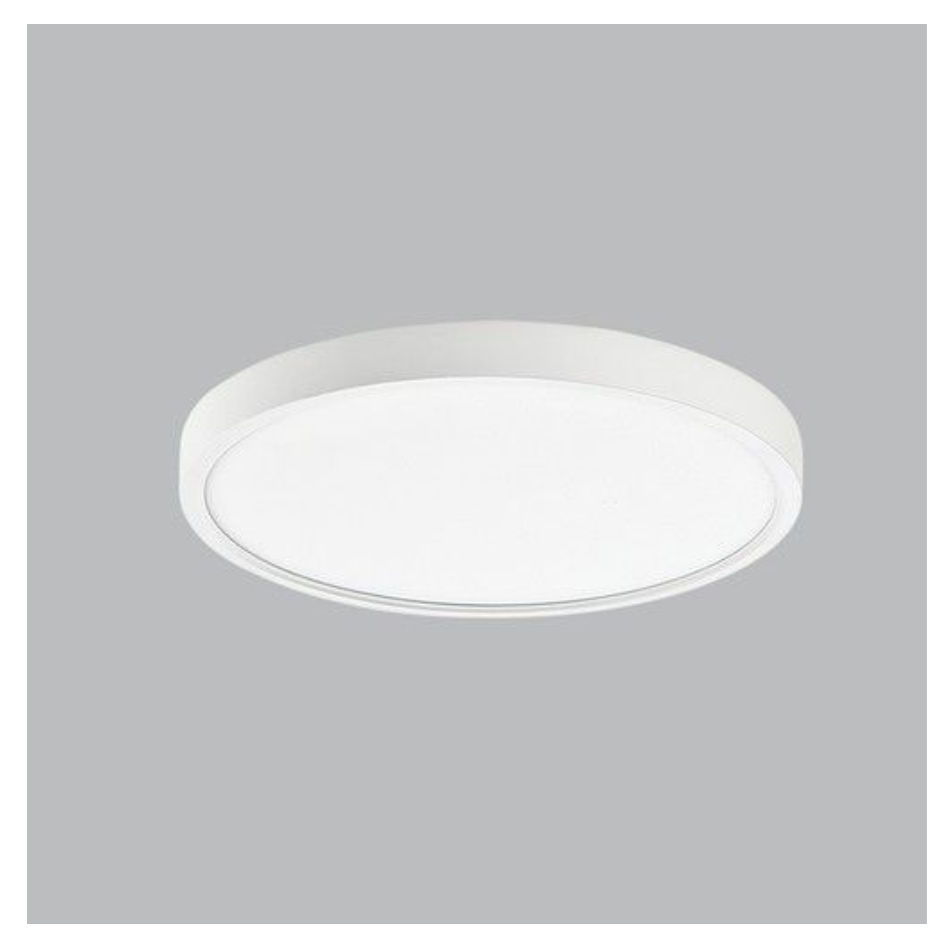 LED ABS Ceiling Fitting
