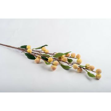 Mini Peaches 1.05M Stem
