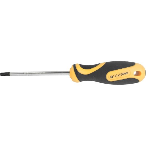 Screwdriver Torx T27 6 X100Mm