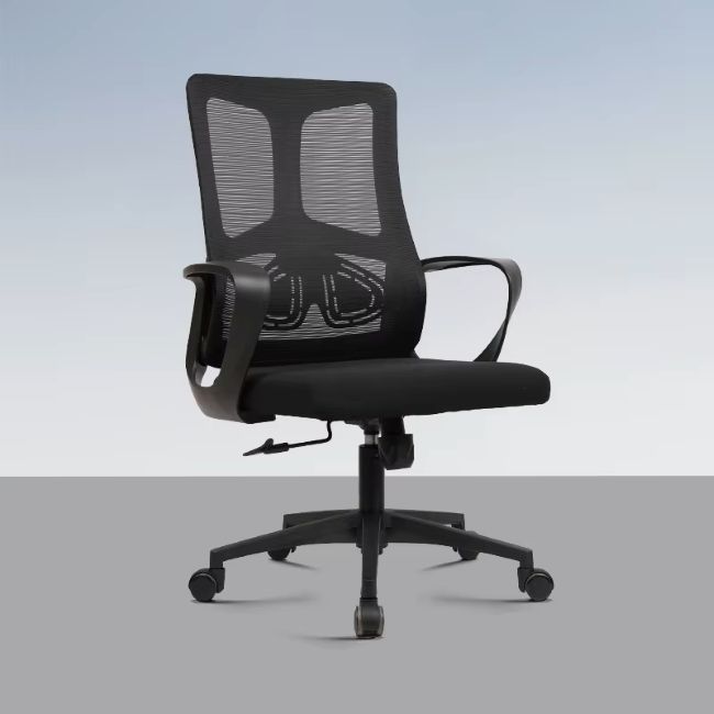 QandAHome Ergonomic Mesh Office Chair with Lumbar Support