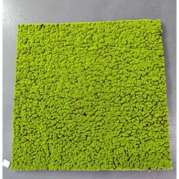 Moss-Tone Textured Rug Panel-Artificial(1mx1m)x1