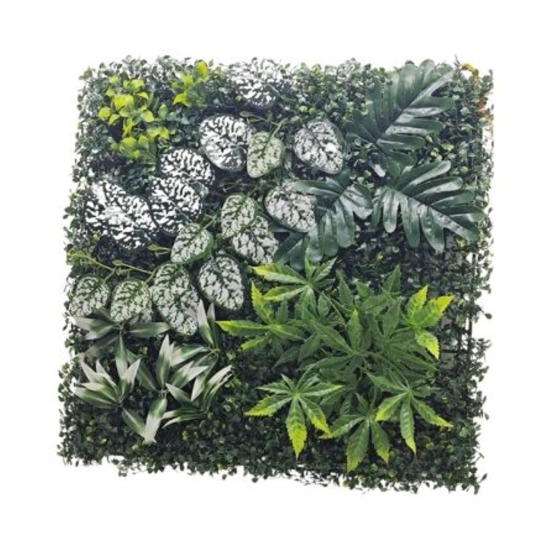 Artificial Green Wall Panel, Mixed Tropical Plants, 50 x 50 cm, Indoor Vertical Garden
