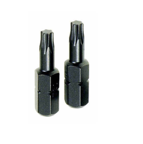 PG Mini Torx Tx25 Insert Bits 2 Pce