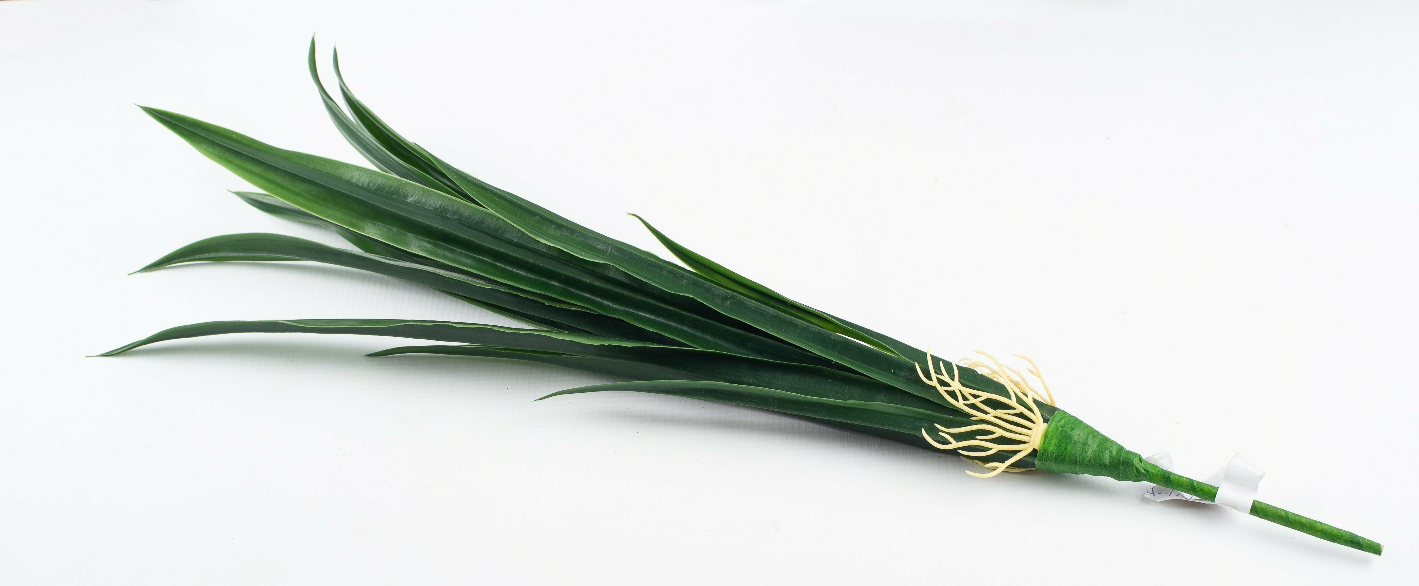 Green Leaf Stems 56Cm