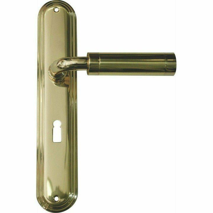 Solid brass lever handle on back plate