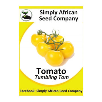 Tomato Yellow Tumbling Tom (15's)