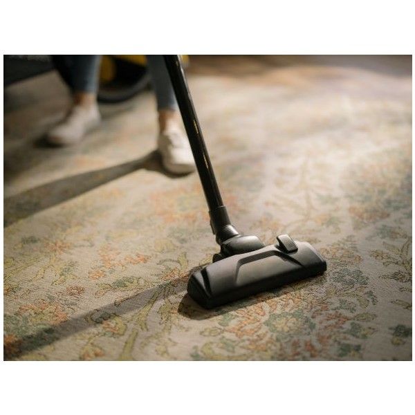 Wet and dry carpet cleaning