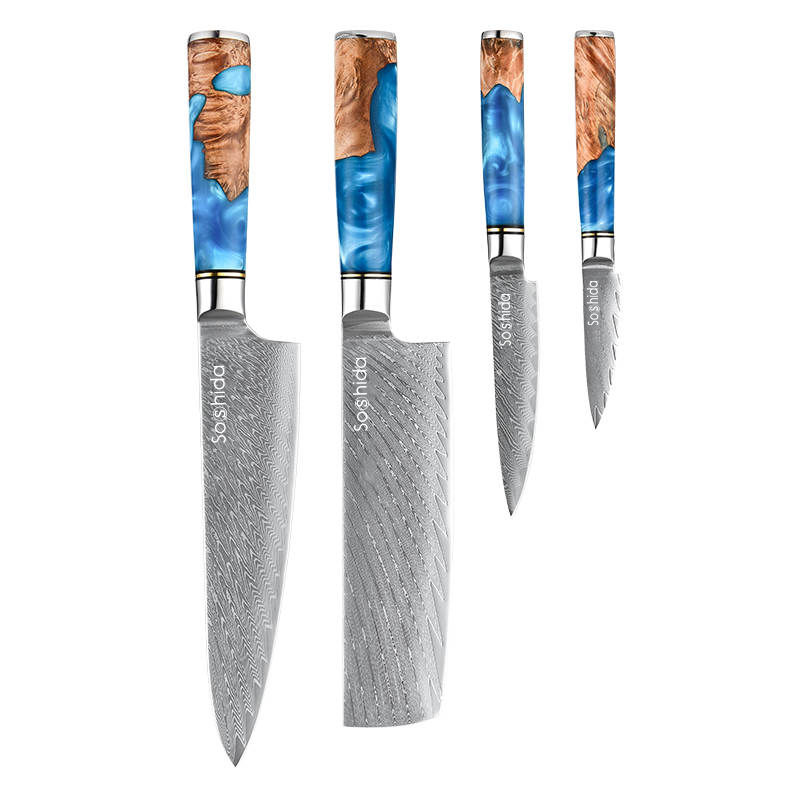 Professional 4 Piece Damascus Chef Knife Set