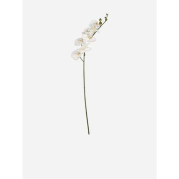 Stem Butterfly Orchid White 90cm – Faux Orchid Floral Stem