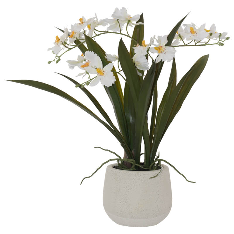 Artificial White & Yellow Oncidium Orchid-46cm