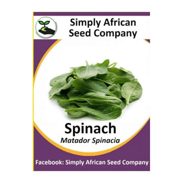 Spinach Matador (30's)