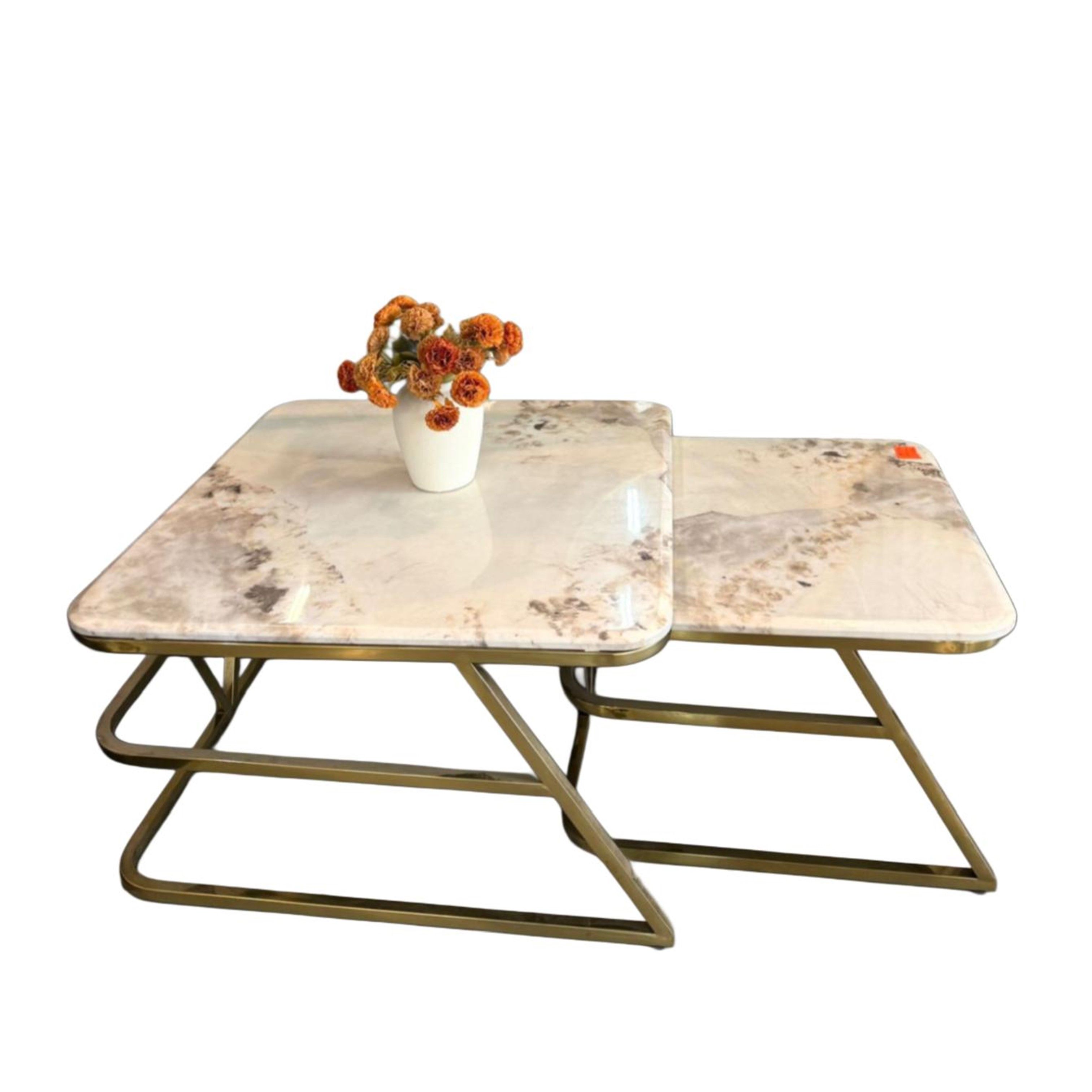 Marble Nesting Coffee Tables with Gold Metal Base