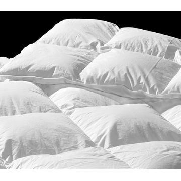Chic Linen Microfibre All-Season Duvet Inner - (Size: Queen)