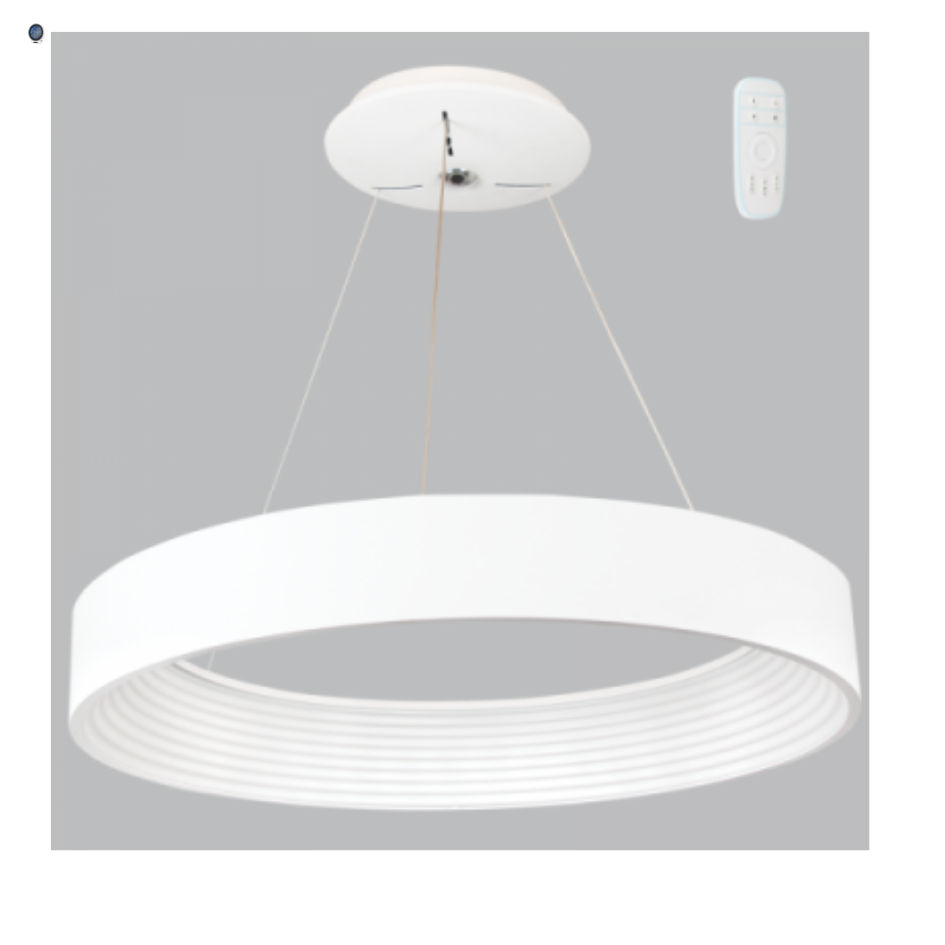 Metal and Plastic Pendant with Remote Control