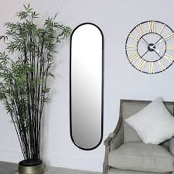 Full Length Elegant Mirror 100X30CM
