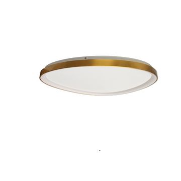 230v 60W LED Large Ovoid 80cm Framed Ceiling Fitting