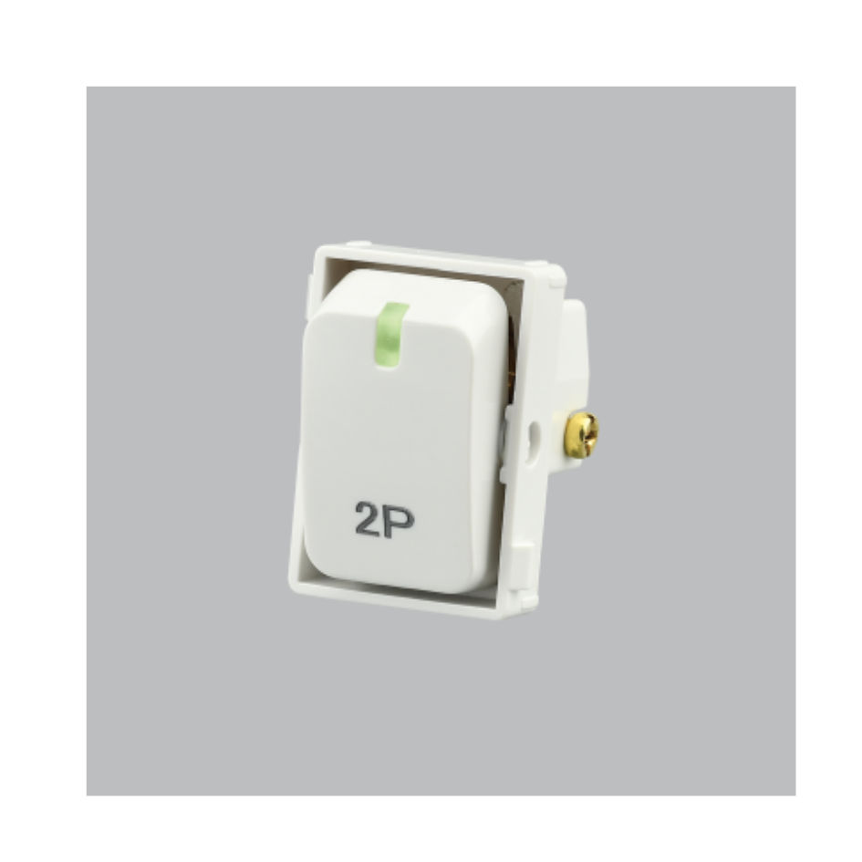 Double Pole Isolator Switch