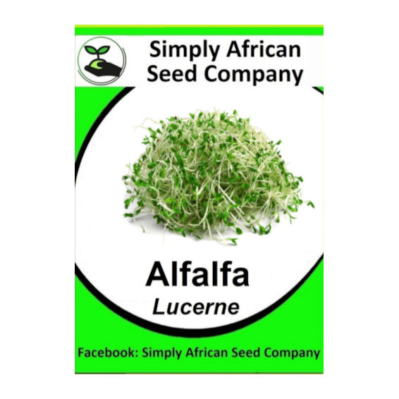 Alfalfa Lucerne 100's