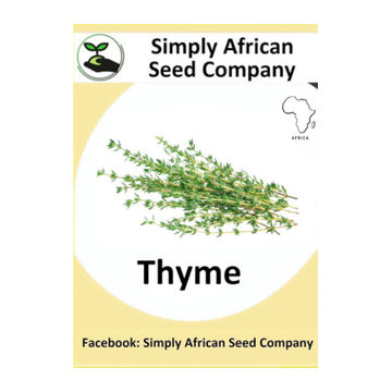 Thyme 50's