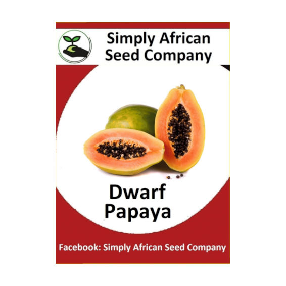 Dwarf Papaya Seeds (Papino) (12's)