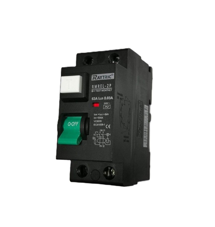Earth Leakage - 63A 2 Pole Mini Rail 230V - RAYTRIC