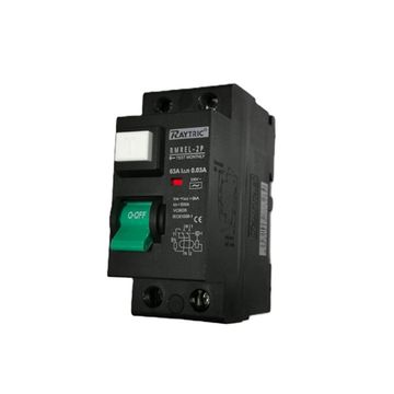 Earth Leakage - 63A 2 Pole Mini Rail 230V - RAYTRIC