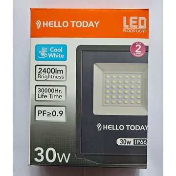 Outdoor 30watt Security Floodlight