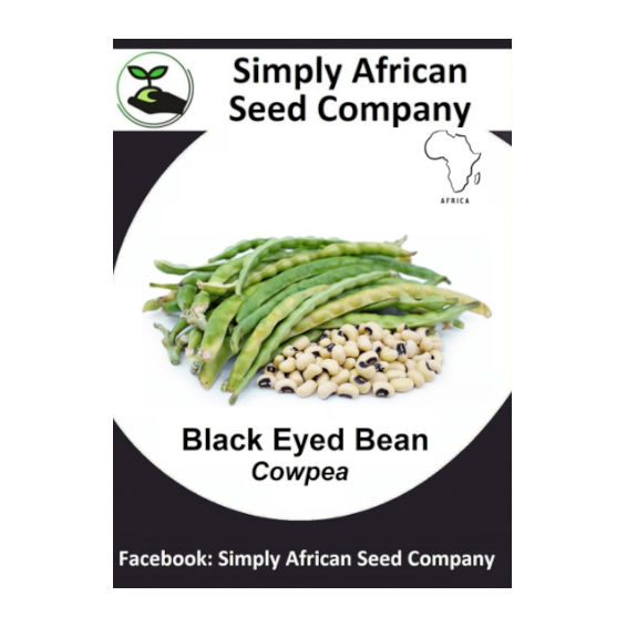 Black Eyed Bean (Cowpea) 15's