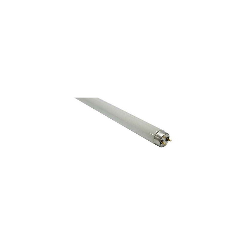 26mm 15W T8 Fluorescent Lamp 450mm Day Light6500K865