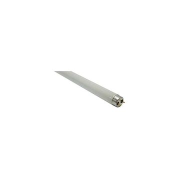 26mm 15W T8 Fluorescent Lamp 450mm Day Light6500K865