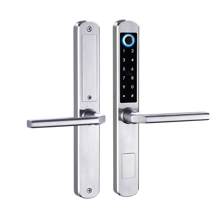 Intelligent Smart Aluminium Sliding Door Lock D5