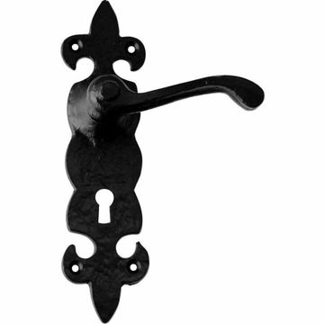 Wrought iron lever handle on back plate