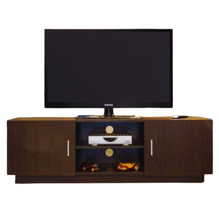 Sane TV Unit