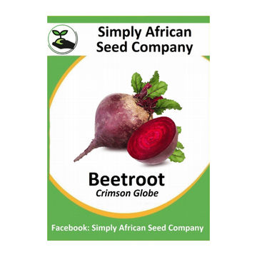 Beetroot Crimson Globe (30's)